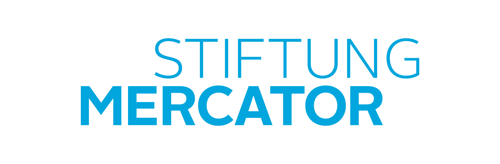 Logo Stiftung Mercator